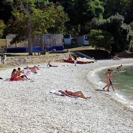 With Wifi - 19407 * פולה