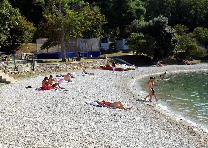 With Wifi - 19407 * 普拉